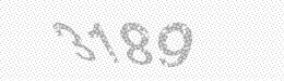 Visual security code — type the characters shown in the image