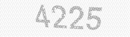 Visual security code — type the characters shown in the image