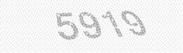Visual security code — type the characters shown in the image