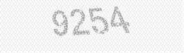 Visual security code — type the characters shown in the image
