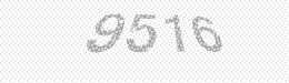Visual security code — type the characters shown in the image